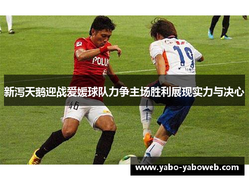 新泻天鹅迎战爱媛球队力争主场胜利展现实力与决心
